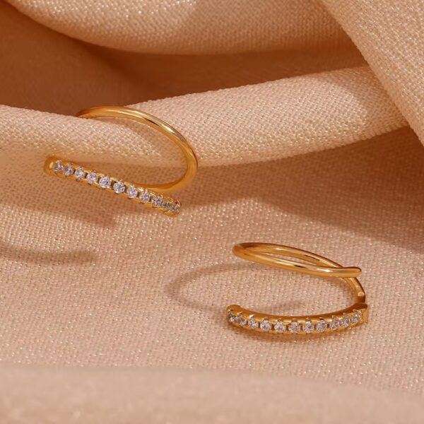 Golden spiral earrings