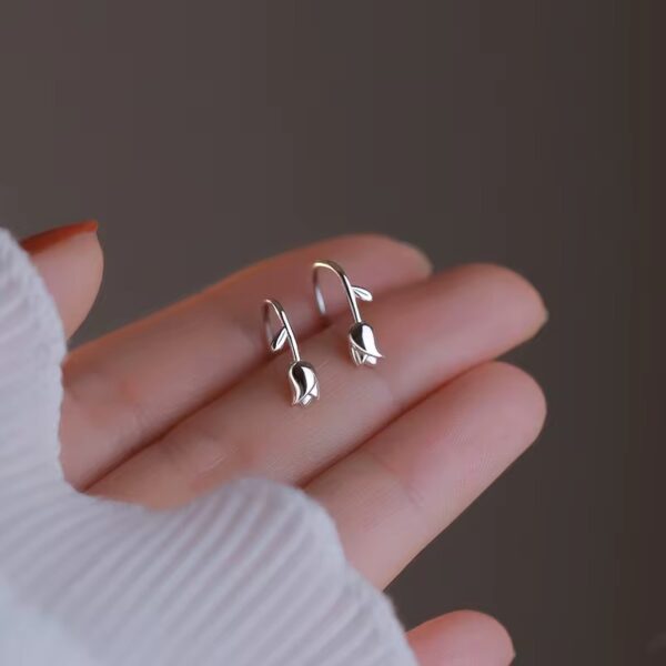 Mini rose climbers - Image 2