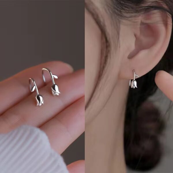 Mini rose climbers - Image 3